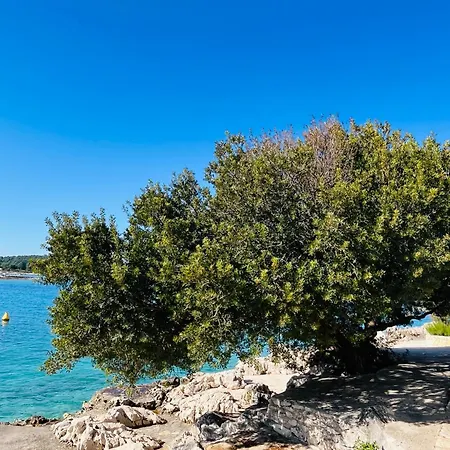 Apartman Mate Rogoznica