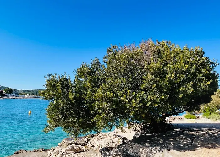 شقة Mate روغوزنيكا